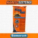 Trampa Adhesiva Pega Rat Somerset